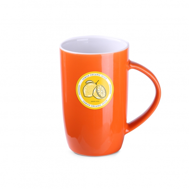 Fox pomarańczowy/biały