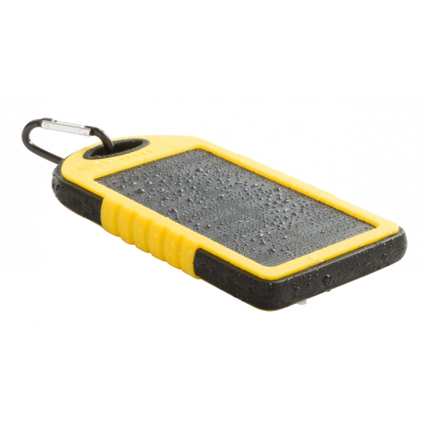 Lenard - power bank
