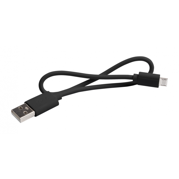 Lenard - power bank