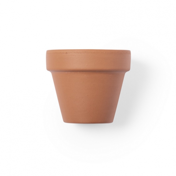 Doniczka do kwiatów, 5-8 nasion petunii i ziemia