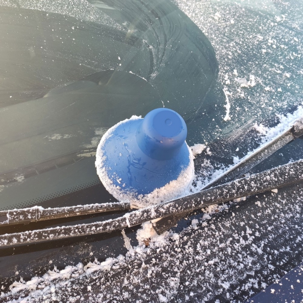 Skrobaczka 'stożek' | Daria