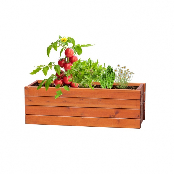 Zestaw kul z nasionami, 4 rodzaje nasion