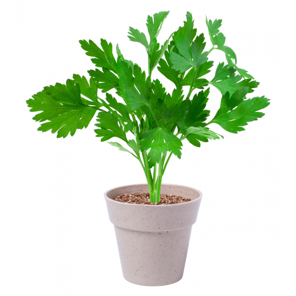 Nertel - zestaw ziół