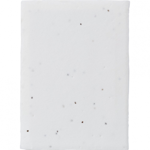 Zestaw do notatek, karteczki samoprzylepne, papier z nasionami