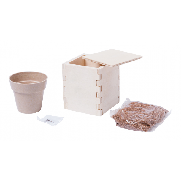 Merin - Zestaw do uprawy mięty