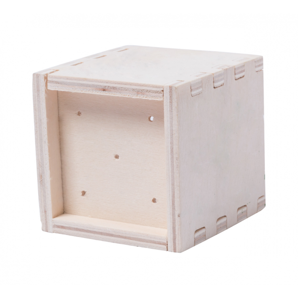 Merin - Zestaw do uprawy mięty