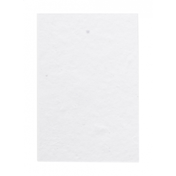 CreaStick Seed Combo A - personalizowane karteczki samoprzylepne