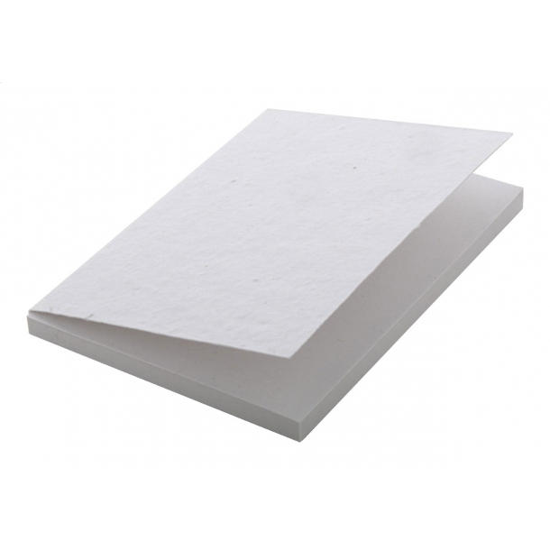 CreaStick Seed Note L - personalizowane karteczki samoprzylepne