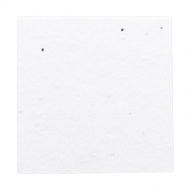 CreaStick Seed Note M - personalizowane karteczki samoprzylepne