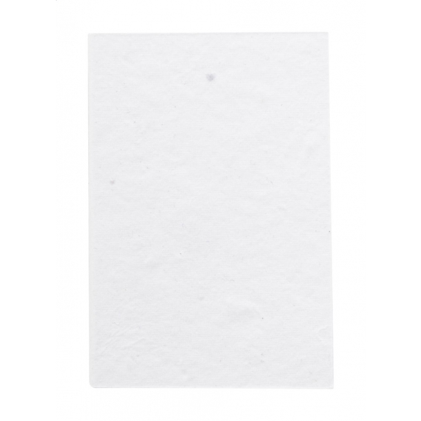 CreaStick Seed Note S - personalizowane karteczki samoprzylepne