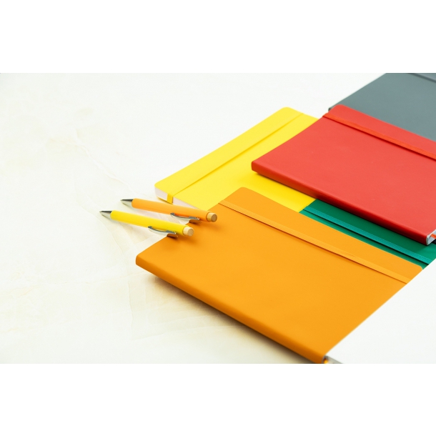 Repuk Soft A5 - notes RPU