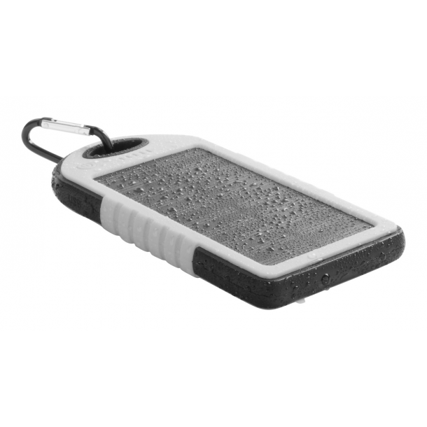 Lenard - power bank