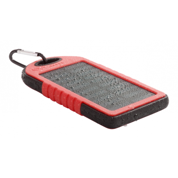 Lenard - power bank