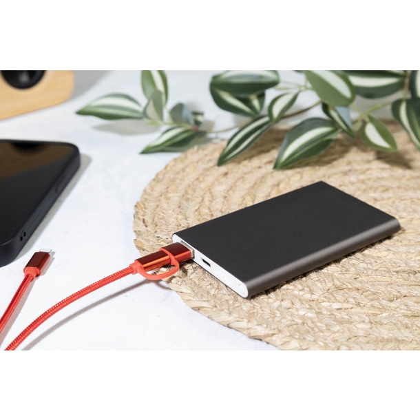 RaluFour - power bank