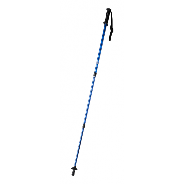 Brulen - kijki do nordic walking
