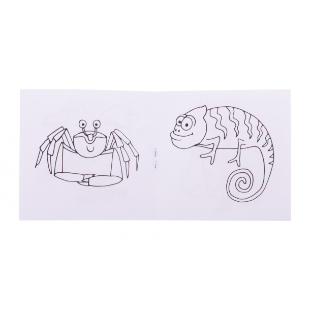 Coloxil 12 - personalizowany zestaw do kolorowania / zwierzęta