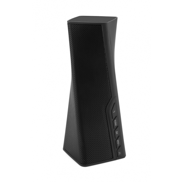 Głośnik bezprzewodowy DUB